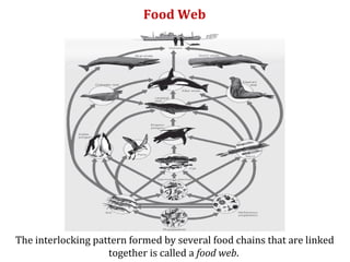 Ecosystem environmental studies unit:2 | PPT