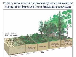 Ecosystem environmental studies unit:2 | PPT