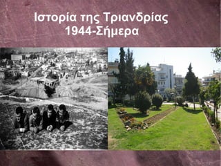 Ιστορία της Τριανδρίας
1944-Σήμερα
 