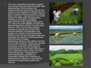 

The cost of planting eventually covered
the income from the crops his health was
deteriorating. Other farmers that
experienced the same thing Lorenzo did
turned to the Department of Agriculture to
shift to organic farming methods. Having
been shot down, they turned to the CADI
(Center for Alternative Development
Initiatives) promoting ecological
agriculture for help. Ikapati Farms and
Co. was a for-profit affiliate of CADI and
demonstrated the viability of biodynamic
farming. This involves high yielding
seeds and natural pest control with
several methods of preparation and
practice to maintain and enhance the
fertility of the soil and nitrogen levels and
stimulate the process of photosynthesis.
With the help of Ikapati
technology, farmers were able to harvest
6.5 tons per hectare, 3 times the average
of harvest in the area. Most farmers
harvested more than the average of
chemical farmers and made more than 2
and a half times more money of typical
chemical farmers. These farmers
demonstrated the possibility on
immediate shifting from chemical to
biodynamical methods on commercial
sale that increased both yields and
income.

 