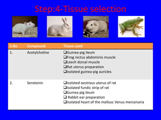 Auricles Rabbit Bioassay | PPTX