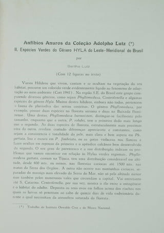 Anfíbios anuros da coleção Adolpho Lutz. III - hyla claresignata Lutz & B. Lutz, 1939.