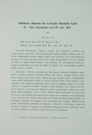 Anfíbios anuros da coleção Adolpho Lutz. III