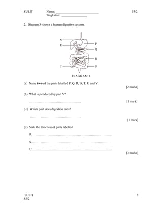 SULIT             Nama: ___________________________              55/2
                  Tingkatan: ________________


2. Diagram 3 shows a human digestive system.




                                       DIAGRAM 3

(a) Name two of the parts labelled P, Q, R, S, T, U and V.
                                                             [2 marks]

(b) What is produced by part V?

    ………………………………………….                                        [1 mark]

( c) Which part does digestion ends?

     …………………………………………
                                                             [1 mark]

(d) State the function of parts labelled

    R………………………………………………………………….

    S………………………………………………………………….

    U………………………………………………………………….
                                                             [3 marks]




 SULIT                                                              3
55/2
 