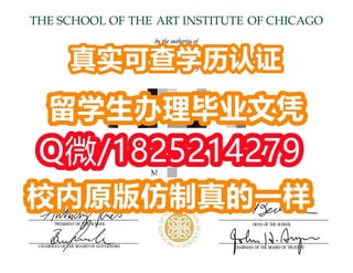 《芝加哥艺术学院毕业证|学位证书校内仿真版本》