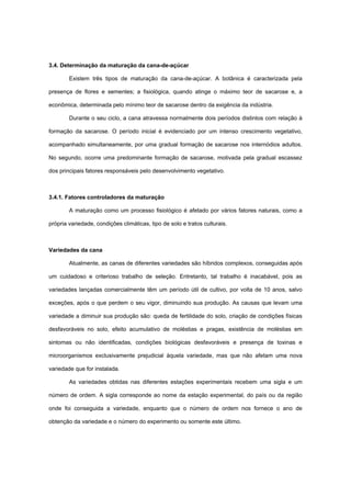 3.4. Determinação da maturação da cana-de-açúcar
Existem três tipos de maturação da cana-de-açúcar. A botânica é caracterizada pela
presença de flores e sementes; a fisiológica, quando atinge o máximo teor de sacarose e, a
econômica, determinada pelo mínimo teor de sacarose dentro da exigência da indústria.
Durante o seu ciclo, a cana atravessa normalmente dois períodos distintos com relação à
formação da sacarose. O período inicial é evidenciado por um intenso crescimento vegetativo,
acompanhado simultaneamente, por uma gradual formação de sacarose nos internódios adultos.
No segundo, ocorre uma predominante formação de sacarose, motivada pela gradual escassez
dos principais fatores responsáveis pelo desenvolvimento vegetativo.
3.4.1. Fatores controladores da maturação
A maturação como um processo fisiológico é afetado por vários fatores naturais, como a
própria variedade, condições climáticas, tipo de solo e tratos culturais.
Variedades da cana
Atualmente, as canas de diferentes variedades são híbridos complexos, conseguidas após
um cuidadoso e criterioso trabalho de seleção. Entretanto, tal trabalho é inacabável, pois as
variedades lançadas comercialmente têm um período útil de cultivo, por volta de 10 anos, salvo
exceções, após o que perdem o seu vigor, diminuindo sua produção. As causas que levam uma
variedade a diminuir sua produção são: queda de fertilidade do solo, criação de condições físicas
desfavoráveis no solo, efeito acumulativo de moléstias e pragas, existência de moléstias em
sintomas ou não identificadas, condições biológicas desfavoráveis e presença de toxinas e
microorganismos exclusivamente prejudicial àquela variedade, mas que não afetam uma nova
variedade que for instalada.
As variedades obtidas nas diferentes estações experimentais recebem uma sigla e um
número de ordem. A sigla corresponde ao nome da estação experimental, do país ou da região
onde foi conseguida a variedade, enquanto que o número de ordem nos fornece o ano de
obtenção da variedade e o número do experimento ou somente este último.
 