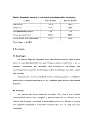 Tabela 1. Avaliação da maturação de cana-de-açúcar através de análises tecnológicas.
Análises Início da safra Decorrer da safra
Brix (mínimo) 18,0% 18,0%
Pol (mínimo) 14,4% 15,3%
Açúcares redutores (máximo) 1,5% 1,0%
Pureza aparente (mínima) 80,0% 85,0%
Açúcar provável % de cana (mínima) 10,4% 11,4%
Fonte: Novaes et al., 1974.
4. Microbiologia
4.1. Classificação
As leveduras podem ser classificadas, sob o ponto de vista taxonômico, dentro de várias
classes de fungos. Elas não constituem um grupo homogêneo, todavia, particularmente as que nos
interessam industrialmente, são classificadas como ASCOMICETOS. As espécies mais
importantes pertencem ao gênero Saccharomyces, sendo a Saccharomyces cerevisiae a espécie
mais importante.
Industrialmente, sem nenhum significado científico, as leveduras podem ser classificadas
segundo seu comportamento nas fermentações em: verdadeiras, falsas, selvagens, altas, baixas e
de destilaria.
4.2. Morfologia
As leveduras são fungos geralmente unicelulares. Sua forma é muito variável,
predominando as esféricas, ovais e alongadas. O diferencial entre leveduras e bactérias fica por
conta de suas dimensões e densidades. Enquanto estas apresentam um diâmetro de cerca de
1μm, as primeiras apresentam-se com diâmetro numa média de 2 a 10 μm e de 5 a 30 μm de
comprimento.
 