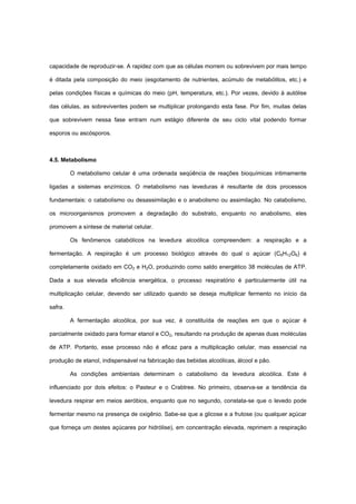 capacidade de reproduzir-se. A rapidez com que as células morrem ou sobrevivem por mais tempo
é ditada pela composição do meio (esgotamento de nutrientes, acúmulo de metabólitos, etc.) e
pelas condições físicas e químicas do meio (pH, temperatura, etc.). Por vezes, devido à autólise
das células, as sobreviventes podem se multiplicar prolongando esta fase. Por fim, muitas delas
que sobrevivem nessa fase entram num estágio diferente de seu ciclo vital podendo formar
esporos ou ascósporos.
4.5. Metabolismo
O metabolismo celular é uma ordenada seqüência de reações bioquímicas intimamente
ligadas a sistemas enzímicos. O metabolismo nas leveduras é resultante de dois processos
fundamentais: o catabolismo ou desassimilação e o anabolismo ou assimilação. No catabolismo,
os microorganismos promovem a degradação do substrato, enquanto no anabolismo, eles
promovem a síntese de material celular.
Os fenômenos catabólicos na levedura alcoólica compreendem: a respiração e a
fermentação. A respiração é um processo biológico através do qual o açúcar (C6H12O6) é
completamente oxidado em CO2 e H2O, produzindo como saldo energético 38 moléculas de ATP.
Dada a sua elevada eficiência energética, o processo respiratório é particularmente útil na
multiplicação celular, devendo ser utilizado quando se deseja multiplicar fermento no início da
safra.
A fermentação alcoólica, por sua vez, é constituída de reações em que o açúcar é
parcialmente oxidado para formar etanol e CO2, resultando na produção de apenas duas moléculas
de ATP. Portanto, esse processo não é eficaz para a multiplicação celular, mas essencial na
produção de etanol, indispensável na fabricação das bebidas alcoólicas, álcool e pão.
As condições ambientais determinam o catabolismo da levedura alcoólica. Este é
influenciado por dois efeitos: o Pasteur e o Crabtree. No primeiro, observa-se a tendência da
levedura respirar em meios aeróbios, enquanto que no segundo, constata-se que o levedo pode
fermentar mesmo na presença de oxigênio. Sabe-se que a glicose e a frutose (ou qualquer açúcar
que forneça um destes açúcares por hidrólise), em concentração elevada, reprimem a respiração
 