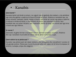 • Kanabis
Çfarë është ?
Kanabisi është një lëndë si duhani, me ngjyrë mes të gjelbrës dhe kafesë, e cila përbëhet
nga lulet dhe gjethet e sipërme të thara të bimës së kërpit. Rrëshira e kanabisit apo, siç
quhet ndryshe, hashashi, është mbetja e tharë e një lënde që nxirret nga pjesa e sipërme
e lulëzuar e bimës së kërpit, e cila kthehet në pluhur ose presohet në forma. Vaji i
kanabisit ose, siç quhet ndryshe, vaji i hashashit, është një lëng i cili nxirret ose nga bima
e tharë ose nga rrëshira.
Si merret ?
Zakonisht, të gjitha format e kanabisit merren përmes tymosjes, si duhani. Rrëshira
dhe vaji i kanabisit mund edhe të hahen ose të pihen në formën e çajit.
Çfarë ndikimi ka te përdoruesi ?
Kanabisi i jep përdoruesit një ndjesi relaksimi dhe kënaqësie dhe ndonjëherë I vendos në
një gjendje euforie. Përdoruesi mund të provojë edhe një ndjesi më të forte të shqisave të
shikimit, nuhatjes, shijes dhe dëgjimit.
 