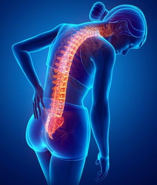 Chronic Spine Pain 