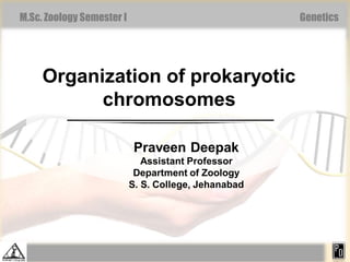 M.Sc. Zoology Semester I Genetics
Organization of prokaryotic
chromosomes
Praveen Deepak
Assistant Professor
Department of Zoology
S. S. College, Jehanabad
 