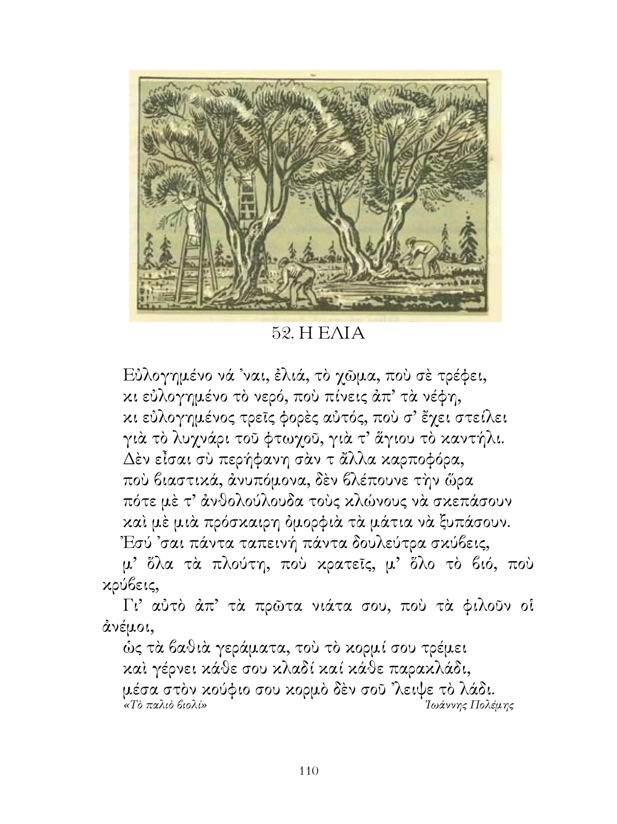 5. Η ΕΛΙΑ

  Εὐλογημένο νά ᾽ναι, ἐλιά, τὸ χῶμα, ποὺ σὲ τρέφει,
  κι εὐλογημένο τὸ νερό, ποὺ πίνεις ἀπ’ τὰ νέφη,
  κι εὐλογημένος τρεῖς φορὲς αὐτός, ποὺ σ’ ἔχει στείλει
  γιὰ τὸ λυχνάρι τοῦ φτωχοῦ, γιὰ τ’ ἅγιου τὸ καντήλι.
  Δὲν εἶσαι σὺ περήφανη σὰν τ ἄλλα καρποφόρα,
  ποὺ βιαστικά, ἀνυπόμονα, δὲν βλέπουνε τὴν ὥρα
  πότε μὲ τ’ ἀνθολούλουδα τοὺς κλώνους νὰ σκεπάσουν
  καὶ μὲ μιὰ πρόσκαιρη ὀμορφιὰ τὰ μάτια νὰ ξυπάσουν.
  Ἐσύ ᾽σαι πάντα ταπεινή πάντα δουλεύτρα σκύβεις,
  μ’ ὅλα τὰ πλούτη, ποὺ κρατεῖς, μ’ ὅλο τὸ βιό, ποὺ
κρύβεις,
  Γι’ αὐτὸ ἀπ’ τὰ πρῶτα νιάτα σου, ποὺ τὰ φιλοῦν οἱ
ἀνέμοι,
  ὡς τὰ βαθιὰ γεράματα, τοὺ τὸ κορμί σου τρέμει
  καὶ γέρνει κάθε σου κλαδί καί κάθε παρακλάδι,
  μέσα στὸν κούφιο σου κορμὸ δὲν σοῦ ᾽λειψε τὸ λάδι.
  «Τὸ παλιὸ βιολί»                       Ἰωάννης Πολέμης




                        110
 