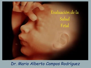 Evaluación de la
Salud
Fetal
Dr. Mario Alberto Campos Rodríguez
 