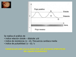 Se realiza el análisis de
• índice relación sístole – diástole: s/d
• índice de resistencia: (s – d) / frecuencia cardiaca media
• índice de pulsatilidad: (s – d) / s
TODOS ELLOS SON CALCULADOS POR LOS SISTEMAS OPERATIVOS
DEL EQUIPO ECOGRÁFICO
 