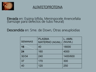 ALFAFETOPROTEINA
Elevada en: Espina bífida, Meningocele Anencefalia
(tamizaje para defectos de tubo neural)
Descendida en: Sme. de Down, Otras aneuploidias
SEMANAS
PLASMA
MATERNO (NG/ML)
L. AMN.
(NG/ML)
16 40 18000
24 160 4000
30/34 240 1400/600
37 170 300
40 120 250
 