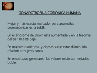 GONADOTROFINA CORIONICA HUMANA
Mejor y más exacto marcador para anomalías
cromosómicas es la subB.
En el síndrome de Down está aumentada y en la trisomía
del par 18 está baja.
En mujeres diabéticas y obesas suele estar disminuida
relación a mujeres sanas
En embarazos gemelares los valores están aumentados
doble.
 