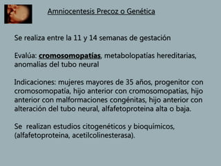 Amniocentesis Precoz o Genética
Se realiza entre la 11 y 14 semanas de gestación
Evalúa: cromosomopatías, metabolopatías hereditarias,
anomalías del tubo neural
Indicaciones: mujeres mayores de 35 años, progenitor con
cromosomopatía, hijo anterior con cromosomopatías, hijo
anterior con malformaciones congénitas, hijo anterior con
alteración del tubo neural, alfafetoproteina alta o baja.
Se realizan estudios citogenéticos y bioquímicos,
(alfafetoproteina, acetilcolinesterasa).
 