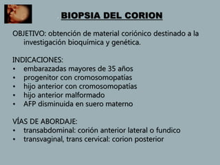 . BIOPSIA DEL CORION
OBJETIVO: obtención de material coriónico destinado a la
investigación bioquímica y genética.
INDICACIONES:
• embarazadas mayores de 35 años
• progenitor con cromosomopatías
• hijo anterior con cromosomopatías
• hijo anterior malformado
• AFP disminuida en suero materno
VÍAS DE ABORDAJE:
• transabdominal: corión anterior lateral o fundico
• transvaginal, trans cervical: corion posterior
 