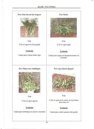 Apostila - Ewe (Folhas)
Usado para magia de desaparecimento ou
prote9ao
A fun se ogun pe ki araiye ja WQ buburu
Kuro lara wa
 