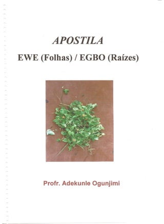 · APOSTILA
EWE (Folhas) / EGBO (Raizes)
Profr. Adekunle Ogunjimi
 