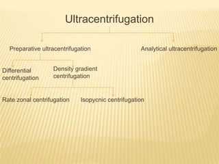 Ultracentrifugation
Preparative ultracentrifugation

Differential
centrifugation

Analytical ultracentrifugation

Density gradient
centrifugation

Rate zonal centrifugation

Isopycnic centrifugation

 