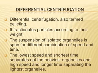 DIFFERENTIAL CENTRIFUGATION






Differential centrifugation, also termed
pelleting.
It fractionates particles according to their
weight.
The suspension of isolated organelles is
spun for different combination of speed and
time.
The lowest speed and shortest time
separates out the heaviest organelles and
high speed and longer time separating the
lightest organelles.

 