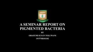 A SEMINAR REPORT ON
PIGMENTED BACTERIA
BY
OBAFEMI SUSAN TOLUWANI
19/57MB/01182
 