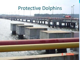 Protective Dolphins
 