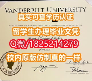 《范德堡大学毕业证|学位证书校内仿真版本》