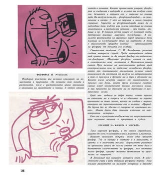 ФОСФОРЪТ И «ЧУДЕСАТА»
Фосфорът участвува във великия кръговрат на ве-
ществата в природата. От почвата той попада в
растенията, после с растителната храна преминава
в организма на животните и човека. А оттук отново
попада в почвата. Когато организмите умират, фосфо-
рът се съединява с водорода и излита във въздуха като
лек, безцветен и отровен газ, с миризма на гниеща
риба. На въздуха този газ — фосфороводородът — се само-
запалва и изгаря. С него са свързани и много суеверни
страхове. Горенето на фосфороводорода може да се
наблюдава там, където има големи находища на гниещи
животински и растителни останки — при блата, гро-
бища и пр. В такива места нощем се появяват бледи,
треперливи пламъци, наричани «блуждаещи». В ми-
налото фантазията на суеверния народ приемала тези
пламъци за блуждаещите души на мъртвите. А това
е обикновеното природно явление — преминаването
на фосфора от почвата във въздуха.
Съветският академик С. И. Вольфкович разказва
следния интересен случай: Преди четиридесет години
той правил опити, за да получи фосфор от подмосков-
ски фосфорит. «Получавах фосфора, спомня си той,
в електрическа пещ, поставена в Московския универ-
ситет. През течение на многочасовата работа край
електрическата пещ се отделяше газообразен фосфор,
който при тогавашните примитивни условия нямах
възможност да отстраня от въздуха на лабораторията
и той се просмука в дрехите ми и дори в обувките ми.
Когато късно вечерта излязох от университета и
тръгнах към дома, моите дрехи излъчваха гълъбово
сияние всред неосветените тогава московски улици.
А при триенето на обувките ми по тротоара се раз-
пръскваха искри.
Край мен веднага се събра тълпа, която тръгна
по стъпките ми и въпреки че аз обяснявах на хората
причината на това сияние, всички ме гледаха с широко
отворени от страхопочитание очи и мълвяха: «Пророк!»
На другия ден из Москва се говореше за «светещия мо-
нах». Моите дрехи бяха станали източник на най-
невероятни истории.»
Ето как в суеверното въображение на непросветените
хора научните явления се превръщат в чудеса.
ЕЛЕМЕНТ НА ЖИВОТА И МИСЪЛТА
Така наричат фосфора, и то съвсем справедливо,
защото от него се нуждаят всички животни и растения.
Нашият организъм съдържа около един процент
фосфор. Той се намира в костите и в мускулите, в
кръвта и в мозъчните тъкани. Нормалното развитие
на организма зависи до голяма степен от това дали е
достатъчно количеството на фосфора. Ако постъпва
малко фосфор, цялата жизнена деятелност на орга-
низма се нарушава.
В Ленинград бил направен интереси опит. В изку-
ствените езера с риба добавили фосфорни торове. Това
усилило развитието на малките водорасли и другите
26
 