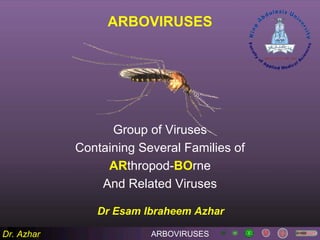Dr. Azhar
ARBOVIRUSES
Group of Viruses
Containing Several Families of
ARthropod-BOrne
And Related Viruses
ARBOVIRUSES
Dr Esam Ibraheem Azhar
 
