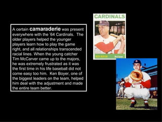 Camaraderie A certain  camaraderie  was present everywhere with the ’64 Cardinals.  The older players helped the younger players learn how to play the game right, and all relationships transcended racial lines. When the young catcher Tim McCarver came up to the majors, he was extremely frustrated as it was the first time in his life baseball did not come easy too him.  Ken Boyer, one of the biggest leaders on the team, helped him deal with the adjustment and made the entire team better. 
