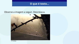 O que é texto...
Observe a imagem a seguir. Descreva-a.
© Pixabay
 