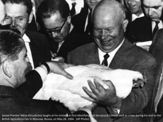 Soviet Premier Nikita Khrushchev laughs at his mistake in first identifying this ten pound Cornish cock as a hen during his visit to the
British Agriculture Fair in Moscow, Russia, on May 28, 1964. (AP Photo)
 