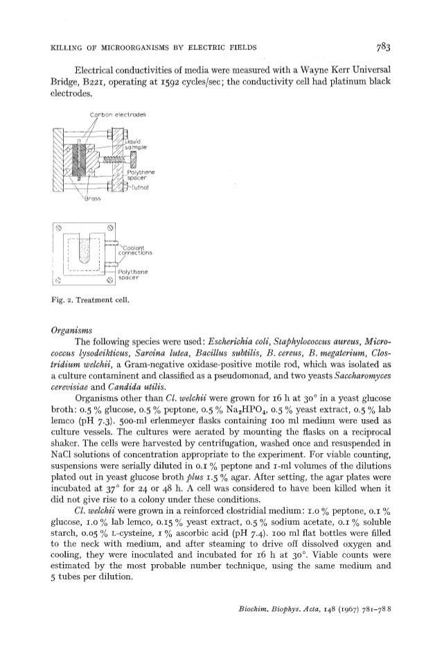 Effect of high electric fields on bacteria and…
