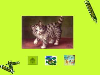 Animals in the Community
