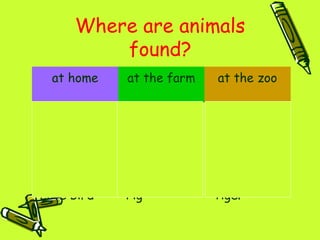 at home at the farm at the zoo
•Dog
•Cat
•Gold fish
•Hamster
•Love bird
•Cow
•Horse
•Goat
•Rooster
•Pig
•Crocodile
•Elephant
•Giraffe
•Monkey
•Tiger
Where are animals
found?
 