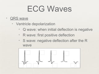 Positive Deflection Electrical Activity of the Heart | PPT