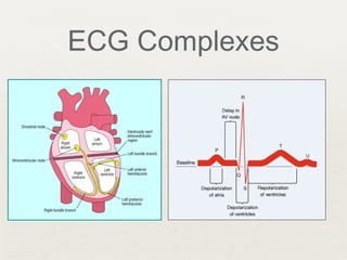 ECG Complexes
 
