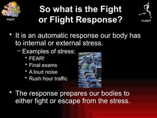 Fight Or Flight Example With Rats 197-Fight-or-Flight-presentation.pptx fire | PPTX
