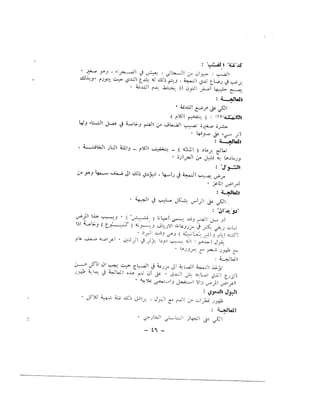 مجلة التراث الشعبي العراقية 