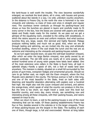 the tank-house is well worth the trouble. The view becomes wonderfully
enlarged; we overlook the level plains, all in vines, with houses and groves
scattered about like islands in a sea,—no wild, unbroken country anywhere.
In the distance is Fresno City, to the north the view is hemmed in by new
vineyards and colonies,—a mass of trees and vines in straight and regular
rows. The courteous owner conducts us through his packing-house and
shows us how the bunches are placed in layers and carefully made to fit
every corner in the box, how the boxes are covered with papers and artistic
labels and finally made ready for the market. As we pass out we get a
glimpse of the equalizing room, crowded to the ceiling with sweatboxes, in
which the raisins assume an even and uniform moisture. And what luscious
bunches they are, large, sweet, thin skinned and highly flavored. Malaga
produces nothing better, and much not as good. And, when we are all
through tasting and admiring, we are invited into the cosy and artistically
furnished dwelling, where in the cool shade the lunch and the rest are as
welcome and interesting as the vineyards and packing-houses outside.
As we turn again towards town, we pass the well-kept Goodman vineyard,
after which we enter the large Barton vineyard, now partly owned by an
English syndicate. The old 640 acres are nearly all in wine grapes, while
several hundred acres of young raisin grapes have lately been added. One
of the most extensive wine cellars in the State is found here, all kept in
splendid shape,—hardly a speck of dirt, not a foot of waste land seen
anywhere. The mansion is stately, situated on a small hill surrounded by fine
groves of gum-trees, evergreen hedges and ornamental grounds. Should we
care to go farther east, we might visit the Eisen vineyard, where the first
Muscats were planted in the county. The famous avenue is half a mile long,
and one of the most beautiful in the State, lined on both sides with
blooming and beautiful oleanders alternating with poplars over a hundred
feet high. We might also visit the Locan vineyard and orchard, and admire
the orange-trees, which speak of what the country can produce in this line.
But the time is too short; we might travel a week over this level but
beautiful country, and every day, every minute, see something new and
interesting among all these vineyards, with their packing-houses, and raisins
exposed on trays to dry.
When we return to town, a visit to the packing-houses is one of the most
interesting that can be made. Of these packing establishments Fresno has
four or five, besides several in the colonies or in the larger vineyards. Three
of these packing-houses are the largest in the State. The building of each
one of them, though large, is full and overcrowded. Women at long tables
 
