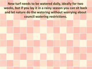 New turf needs to be watered daily, ideally for two
weeks, but if you lay it in a rainy season you can sit back
and let nature do the watering without worrying about
              council watering restrictions.
 