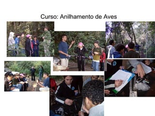 Curso: Anilhamento de Aves
 