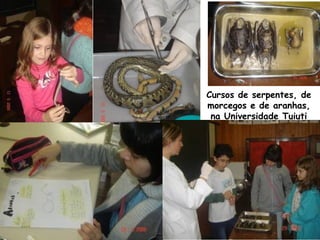 Cursos de serpentes, de
morcegos e de aranhas,
 na Universidade Tuiuti
 