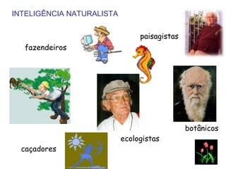 INTELIGÊNCIA NATURALISTA


                                paisagistas
  fazendeiros




                                              botânicos
                           ecologistas
  caçadores
 