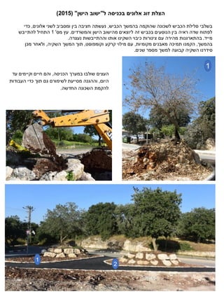 ‫ל‬ ‫בכניסה‬ ‫אלונים‬ ‫זוג‬ ‫הצלת‬
"
‫הישן‬ ‫ישוב‬
( "
2015
)
‫הכביש‬ ‫בהמשך‬ ‫שהוקמה‬ ‫לשכונה‬ ‫הכביש‬ ‫סלילת‬ ‫בשלבי‬
,
‫אלונים‬ ‫לשני‬ ‫ומסביב‬ ‫בין‬ ‫חציבה‬ ‫נעשתה‬
,
‫כדי‬
‫והמשרדים‬ ‫הישן‬ ‫מהישוב‬ ‫ליוצאים‬ ‫זה‬ ‫בכביש‬ ‫הנוסעים‬ ‫בין‬ ‫ראיה‬ ‫שדה‬ ‫לפתוח‬
.
‫מס‬ ‫עץ‬
'
1
‫להתייבש‬ ‫התחיל‬
‫מייד‬
.
‫נעצרה‬ ‫וההתייבשות‬ ‫אותו‬ ‫השקינו‬ ‫כיבוי‬ ‫צינורות‬ ‫עם‬ ‫מהירה‬ ‫בהתארגנות‬
.
‫בהמשך‬
,
‫מקומיות‬ ‫מאבנים‬ ‫תמיכה‬ ‫הקמנו‬
,
‫קרקע‬ ‫מילוי‬ ‫עם‬
‫וקומפוסט‬
,
‫השקיה‬ ‫המשך‬ ‫תוך‬
,
‫מכן‬ ‫ולאחר‬
‫שנים‬ ‫מספר‬ ‫למשך‬ ‫קבועה‬ ‫השקיה‬ ‫סידרנו‬
.
1
2
1
‫הכניסה‬ ‫במערך‬ ‫שולבו‬ ‫העצים‬
,
‫עד‬ ‫וקיימים‬ ‫חיים‬ ‫והם‬
‫היום‬
,
‫העבודות‬ ‫כדי‬ ‫תוך‬ ‫גם‬ ‫לשימורם‬ ‫מסייעת‬ ‫וההגנה‬
‫החדשה‬ ‫השכונה‬ ‫להקמת‬
.
 