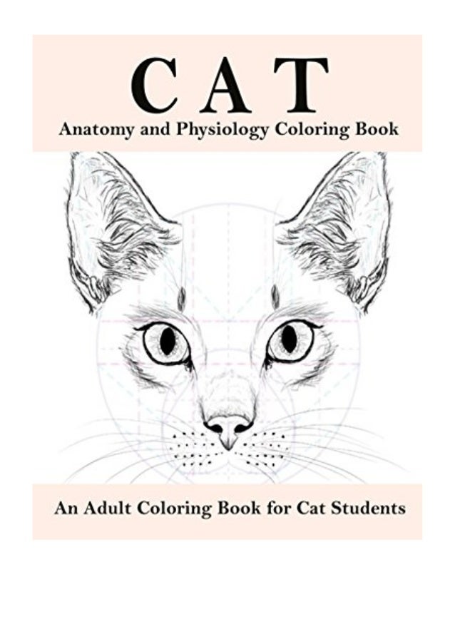 Download Cat Anatomy And Physiology Coloring Book Pdf Boston Summer An Adult