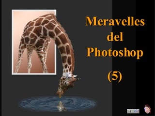 Meravelles del Photoshop (5) 