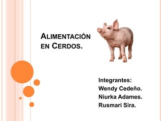 ALIMENTACIÓN
EN CERDOS.
Integrantes:
Wendy Cedeño.
Niurka Adames.
Rusmari Sira.
 